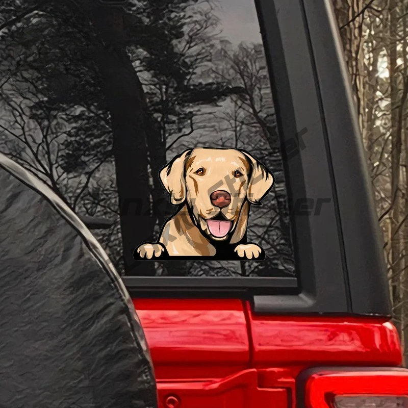Pegatinas de perro amarillo La - Yellow Laptop Accessories reseña y precio