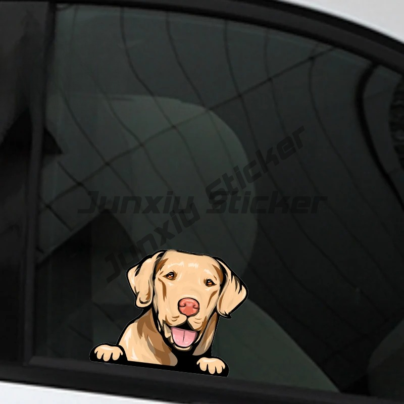 Pegatinas de perro amarillo La - Yellow Laptop Accessories reseña y precio