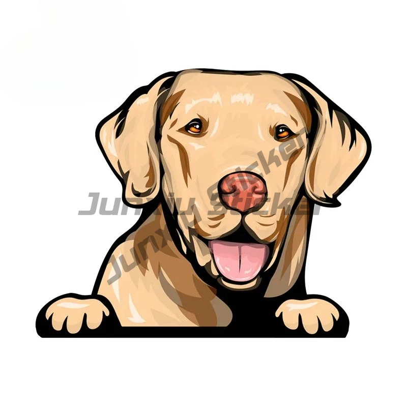 Pegatinas de perro amarillo La - Yellow Laptop Accessories reseña y precio